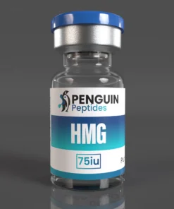 HMG